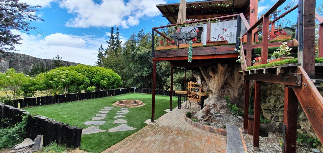 수에스카 Casa En El Arbol 빌라 외부 사진